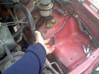 20110201144403.jpg