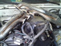 downsized_0416011450.jpg
