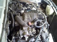 downsized_0416011446.jpg