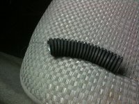 IMG_3785.jpg IMG_3785.jpg