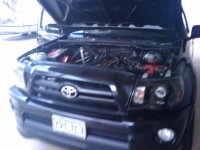 2011-03-21 13.29.22.jpg