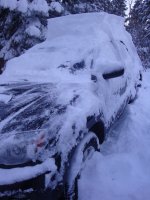 Nov 22 2010 1110.jpg