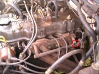 IMG_20110329_073716.jpg