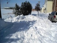 IMG_3290C.JPG