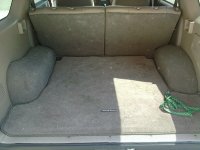 Dog Hair Carpet.jpg Dog Hair Carpet.jpg