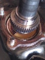 New Bearings.jpg New Bearings.jpg