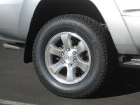 IMG_1695.jpg