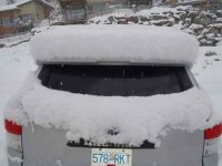 snow2.jpg