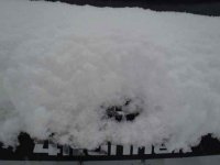 snow3.jpg