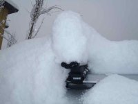 snow4.jpg