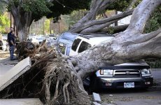 111202-california-winds-845a_photoblog600.jpg