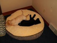 DSCN0229.JPG