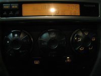 bulbs 013.jpg