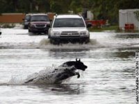 katrina aint shit.jpg