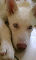 IMAG0249.jpg