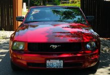 Mustang in 2011-1.jpg
