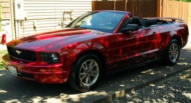 Mustang in 2011-2.jpg
