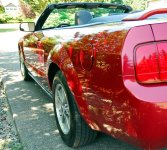Mustang in 2011-3.jpg