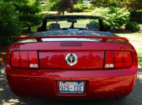 Mustang in 2011-4.jpg