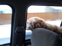 20111112_163844.jpg