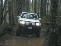 3rd gen.jpg