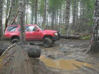 red 3rd gen.jpg