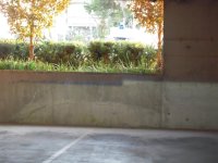 DSCN1617[1].jpg