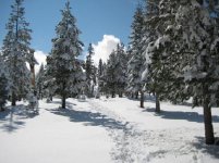 Fall 2011 058-small.jpg