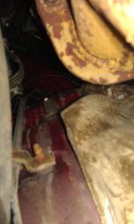 IMAG0100.jpg
