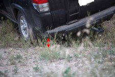 IMG_1967 copy.jpg