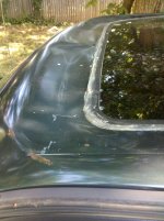 IMG_20110716_094931.jpg