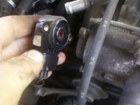 IACV1.jpg IACV1.jpg