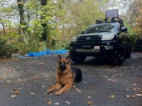 bear and truck.jpg