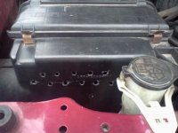 downsized_0205121637.jpg