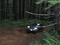 IMG_0037.jpg