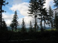 IMG_0034.jpg
