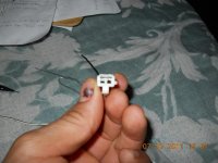 DSCN1313.jpg