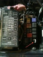 IMG_0101.jpg IMG_0101.jpg