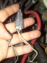 IMG-20111010-00134.jpg