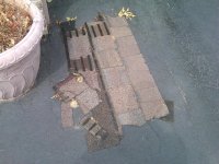 IMG00145-20110718-1052.jpg