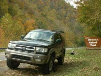 Stock Shot National Forest.jpg Stock Shot National Forest.jpg