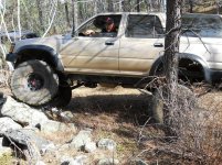 AA-Tall one on trail 2.jpg
