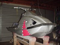 X2 shark 2.JPG