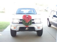 Xmas hood ornament.jpg