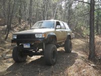 AA-Tall one on trail 1.jpg