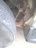 IMG_20111217_091210.jpg