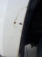 20120502_172845.jpg