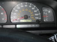 IMG_1568.jpg