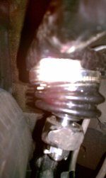 IMAG0317.jpg