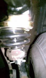 IMAG0320.jpg